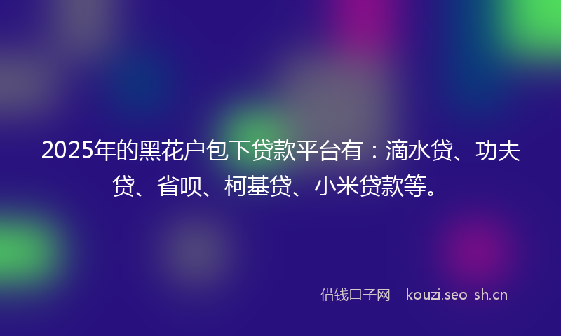 2025年的黑花户包下贷款平台有：滴水贷、功夫贷、省呗、柯基贷、小米贷款等。