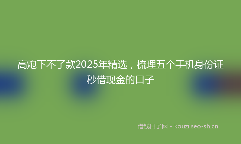高炮下不了款2025年精选,梳理五个手机身份证秒借现金的口子