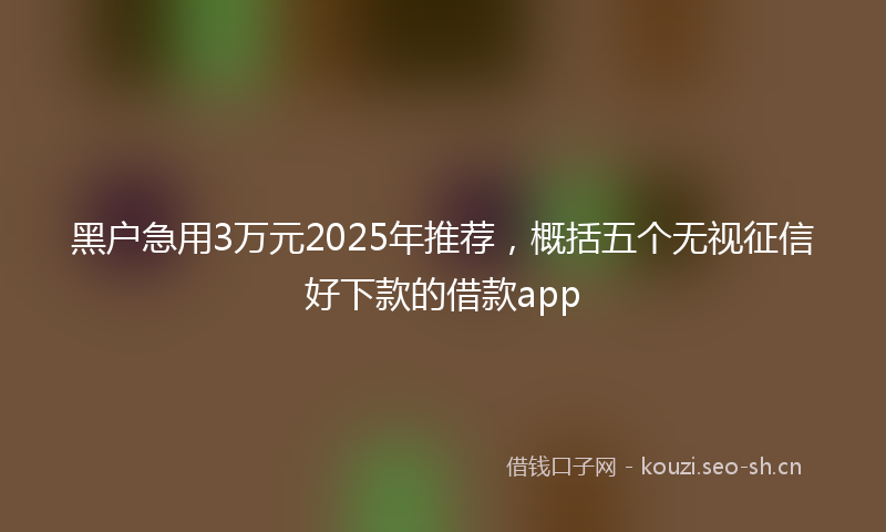 黑户急用3万元2025年推荐,概括五个无视征信好下款的借款app