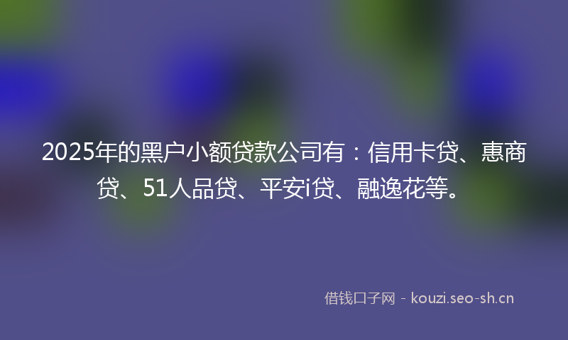 2025年的黑户小额贷款公司有：信用卡贷、惠商贷、51人品贷、平安i贷、融逸花等。
