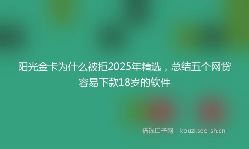 阳光金卡为什么被拒2025年精选,总结五个网贷容易下款18岁的软件
