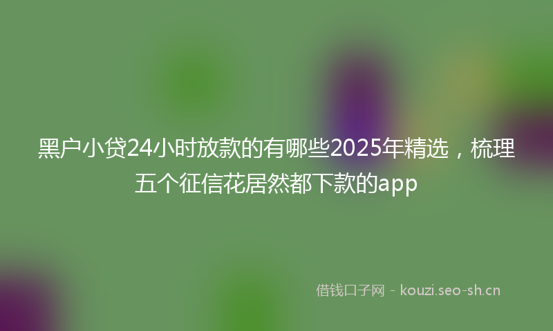 黑户小贷24小时放款的有哪些2025年精选，梳理五个征信花居然都下款的app