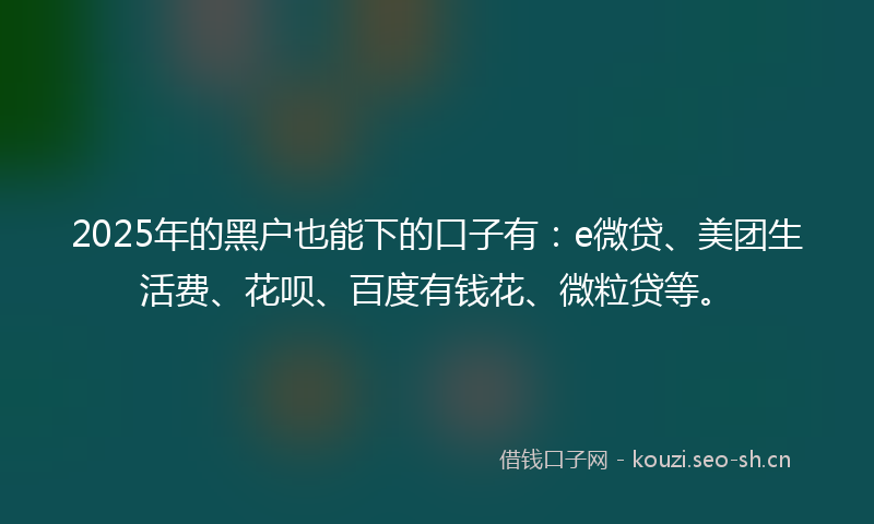 2025年的黑户也能下的口子有：e微贷、美团生活费、花呗、百度有钱花、微粒贷等。