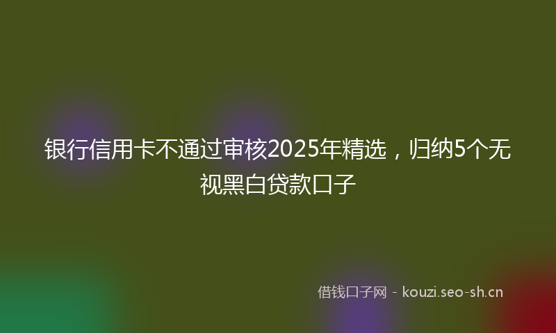 银行信用卡不通过审核2025年精选,归纳5个无视黑白贷款口子