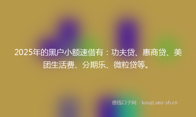 2025年的黑户小额速借有：功夫贷、惠商贷、美团生活费、分期乐、微粒贷等。