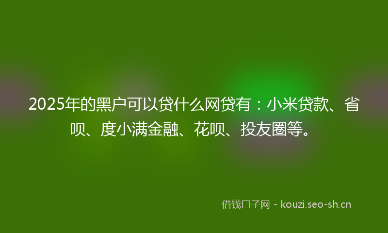 2025年的黑户可以贷什么网贷有：小米贷款、省呗、度小满金融、花呗、投友圈等。