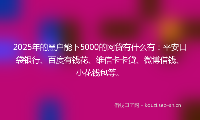 2025年的黑户能下5000的网贷有什么有：平安口袋银行、百度有钱花、维信卡卡贷、微博借钱、小花钱包等。