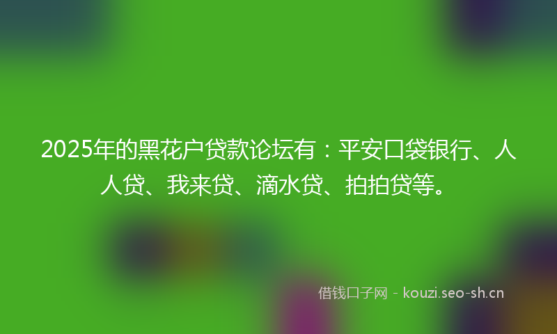 2025年的黑花户贷款论坛有：平安口袋银行、人人贷、我来贷、滴水贷、拍拍贷等。