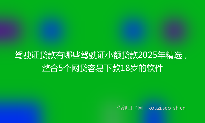 驾驶证贷款有哪些驾驶证小额贷款2025年精选，整合5个网贷容易下款18岁的软件