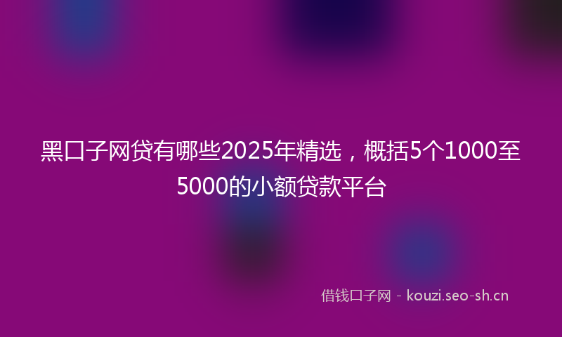 黑口子网贷有哪些2025年精选,概括5个1000至5000的小额贷款平台
