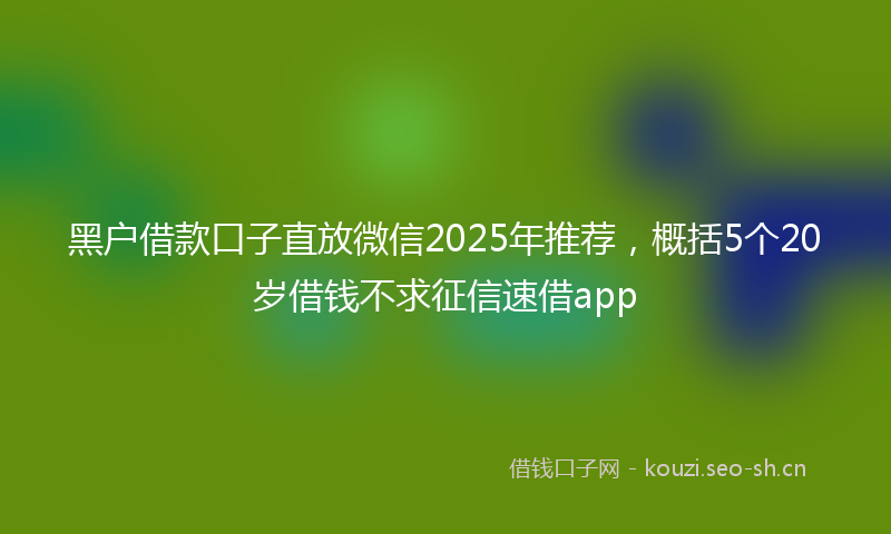 黑户借款口子直放微信2025年推荐，概括5个20岁借钱不求征信速借app