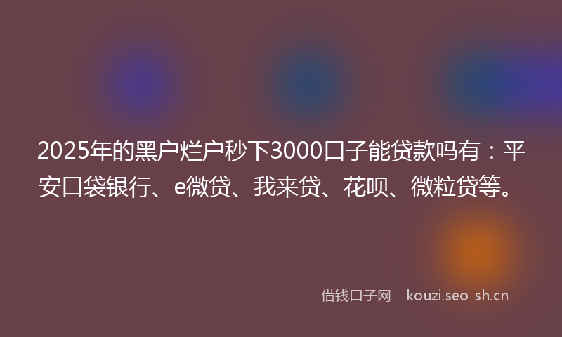 2025年的黑户烂户秒下3000口子能贷款吗有：平安口袋银行、e微贷、我来贷、花呗、微粒贷等。
