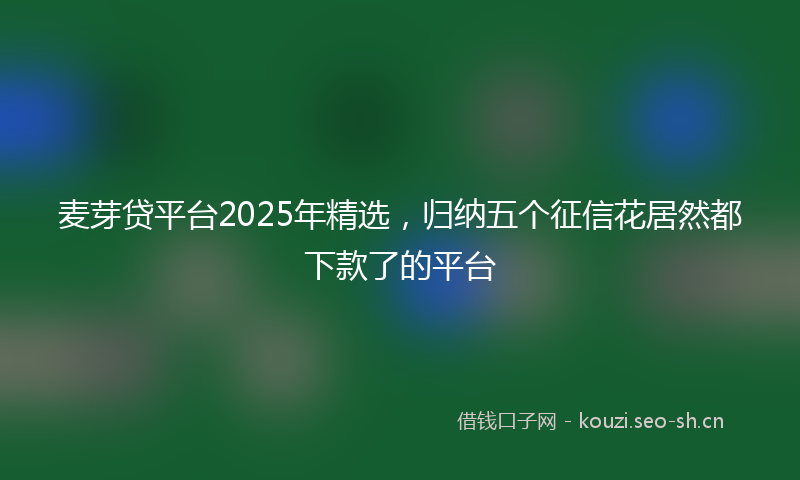 麦芽贷平台2025年精选,归纳五个征信花居然都下款了的平台