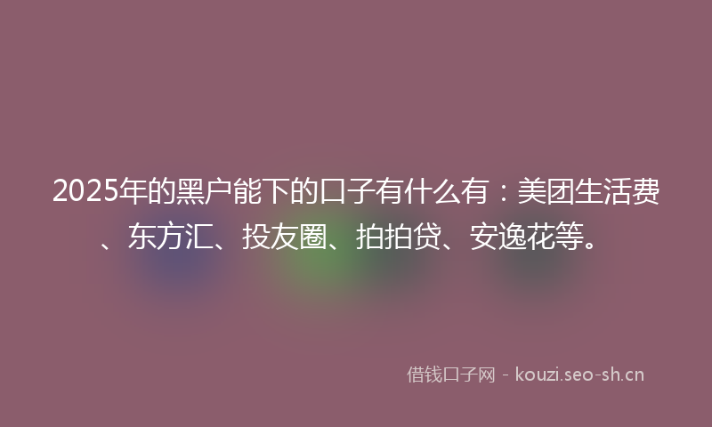 2025年的黑户能下的口子有什么有：美团生活费、东方汇、投友圈、拍拍贷、安逸花等。
