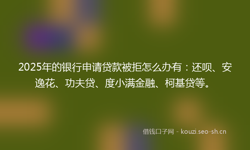 2025年的银行申请贷款被拒怎么办有：还呗、安逸花、功夫贷、度小满金融、柯基贷等。