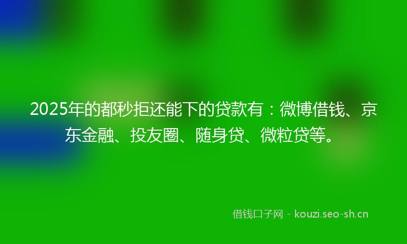 2025年的都秒拒还能下的贷款有:微博借钱、京东金融、投友圈、随身贷、微粒贷等。