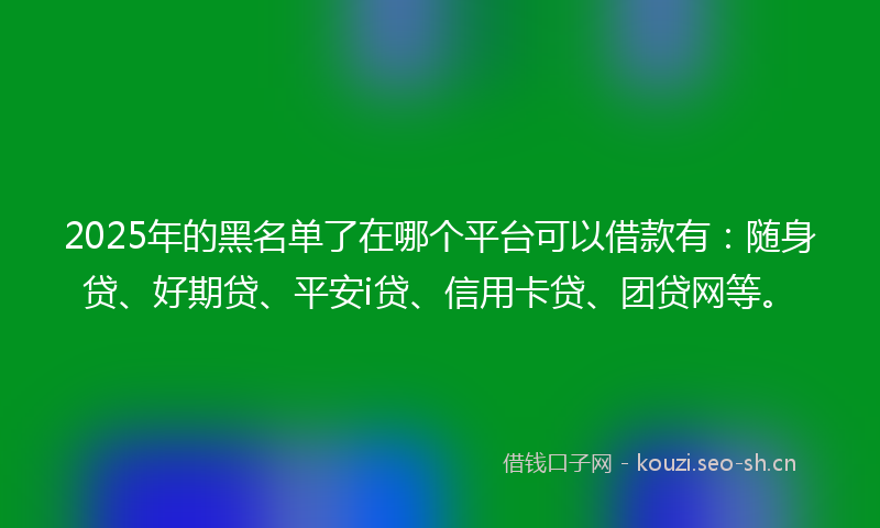 2025年的黑名单了在哪个平台可以借款有：随身贷、好期贷、平安i贷、信用卡贷、团贷网等。