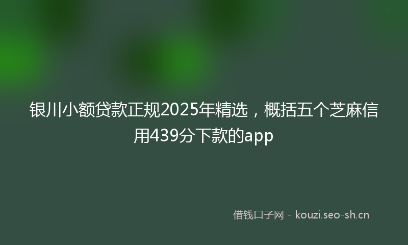 银川小额贷款正规2025年精选，概括五个芝麻信用439分下款的app