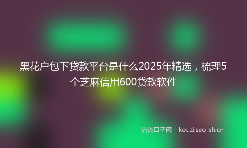 黑花户包下贷款平台是什么2025年精选，梳理5个芝麻信用600贷款软件
