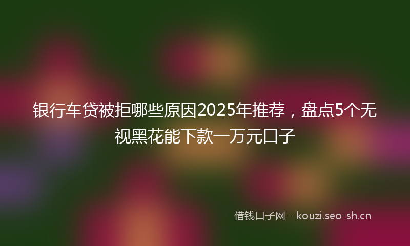 银行车贷被拒哪些原因2025年推荐，盘点5个无视黑花能下款一万元口子