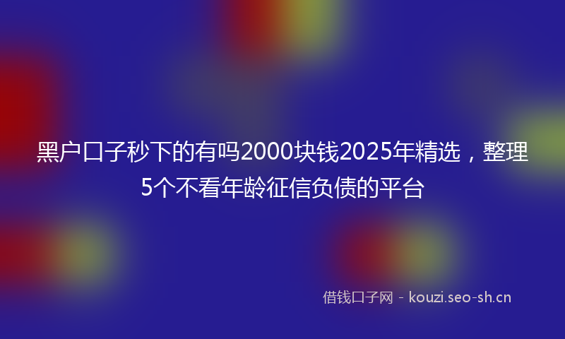黑户口子秒下的有吗2000块钱2025年精选,整理5个不看年龄征信负债的平台