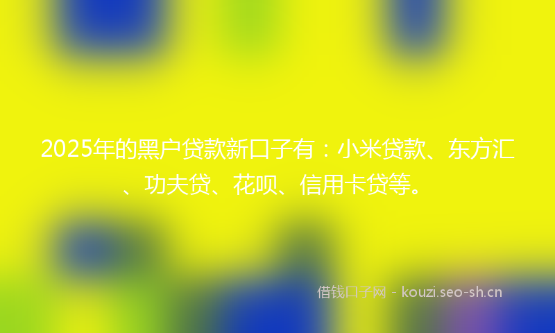 2025年的黑户贷款新口子有：小米贷款、东方汇、功夫贷、花呗、信用卡贷等。