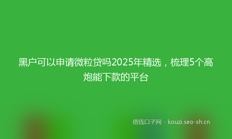 黑户可以申请微粒贷吗2025年精选,梳理5个高炮能下款的平台