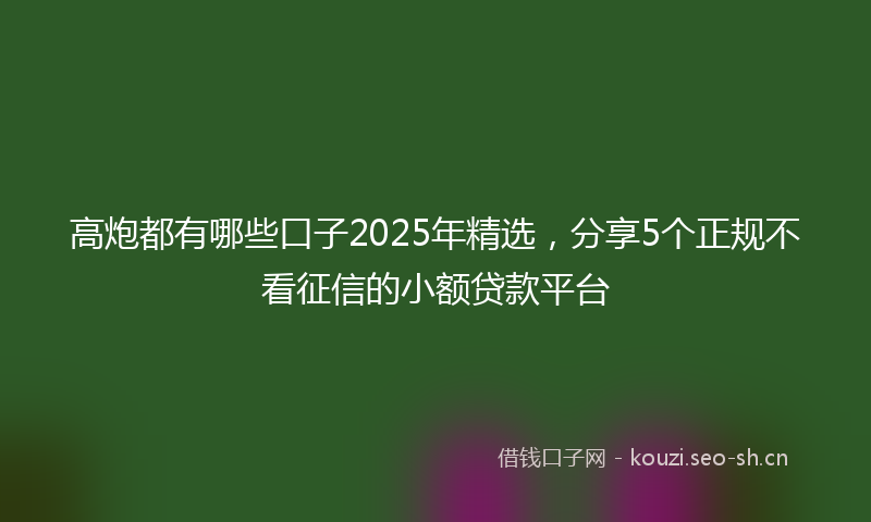 高炮都有哪些口子2025年精选，分享5个正规不看征信的小额贷款平台