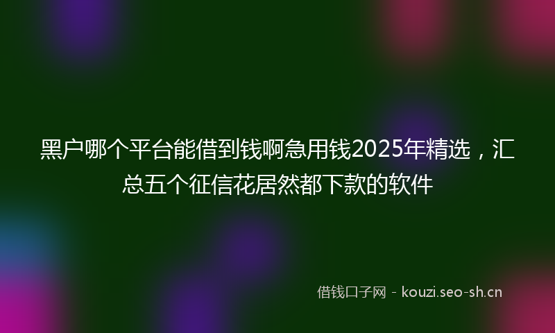 黑户哪个平台能借到钱啊急用钱2025年精选，汇总五个征信花居然都下款的软件