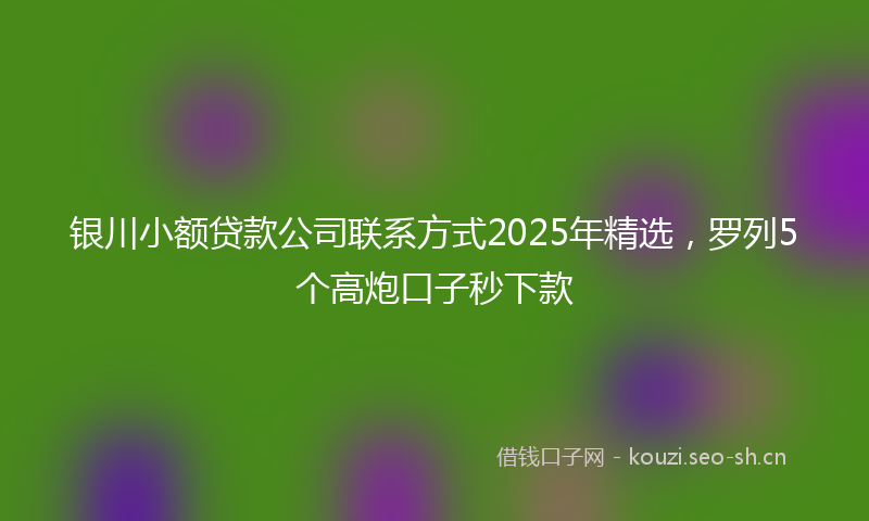 银川小额贷款公司联系方式2025年精选，罗列5个高炮口子秒下款