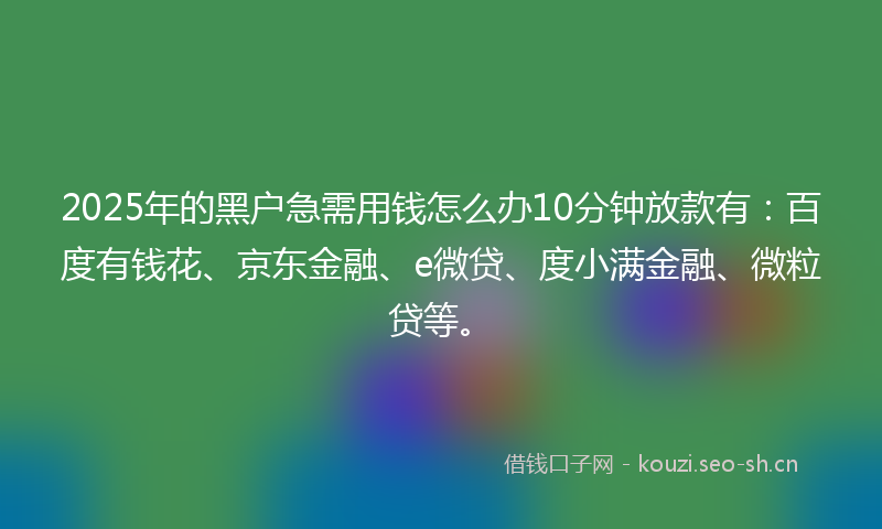 2025年的黑户急需用钱怎么办10分钟放款有：百度有钱花、京东金融、e微贷、度小满金融、微粒贷等。