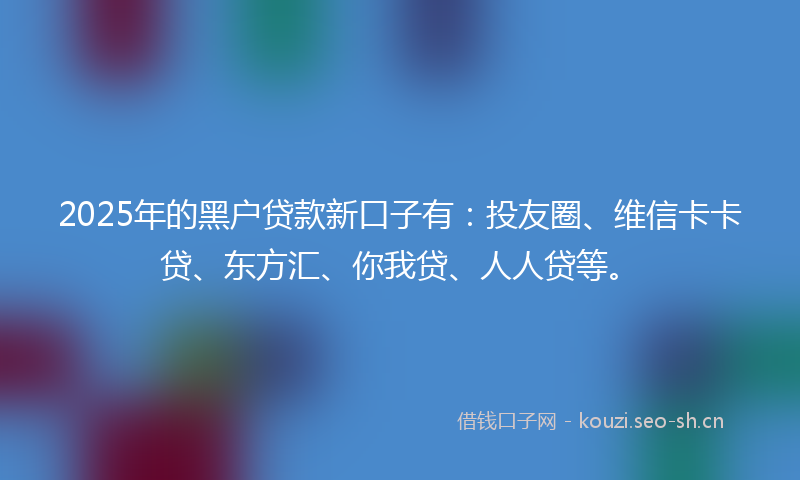 2025年的黑户贷款新口子有：投友圈、维信卡卡贷、东方汇、你我贷、人人贷等。