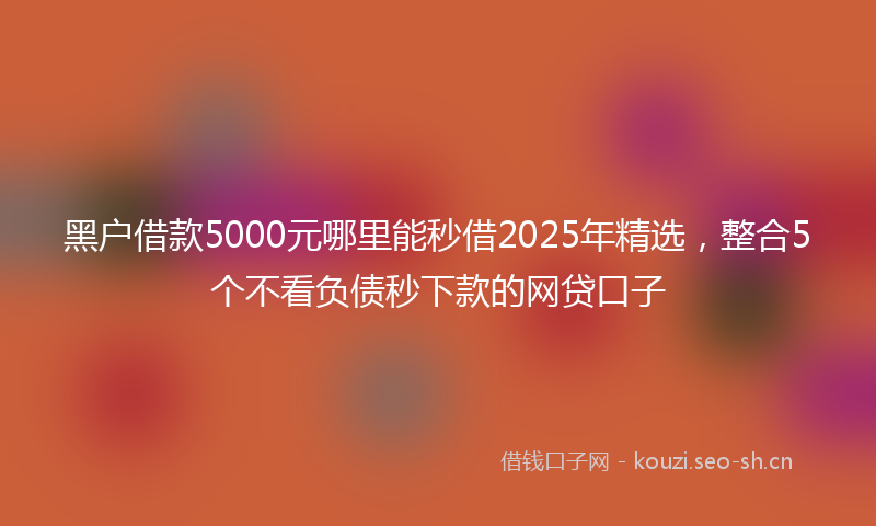 黑户借款5000元哪里能秒借2025年精选,整合5个不看负债秒下款的网贷口子