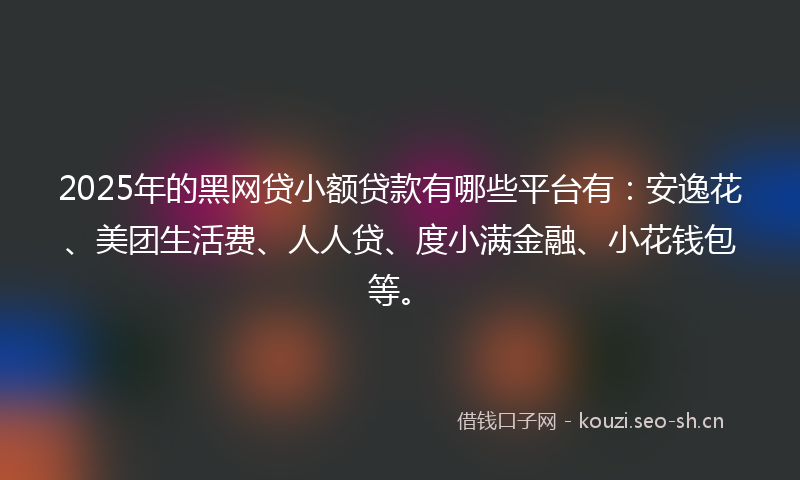 2025年的黑网贷小额贷款有哪些平台有：安逸花、美团生活费、人人贷、度小满金融、小花钱包等。