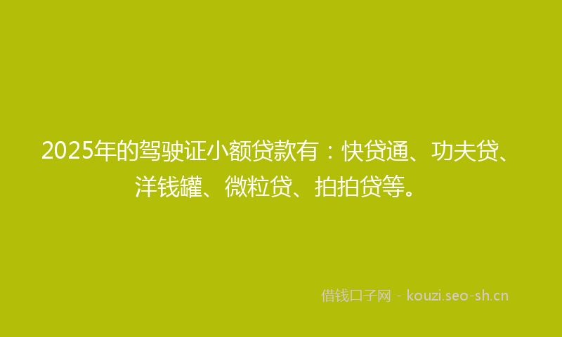 2025年的驾驶证小额贷款有:快贷通、功夫贷、洋钱罐、微粒贷、拍拍贷等。