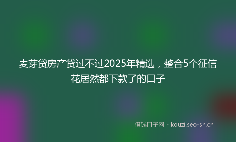 麦芽贷房产贷过不过2025年精选，整合5个征信花居然都下款了的口子
