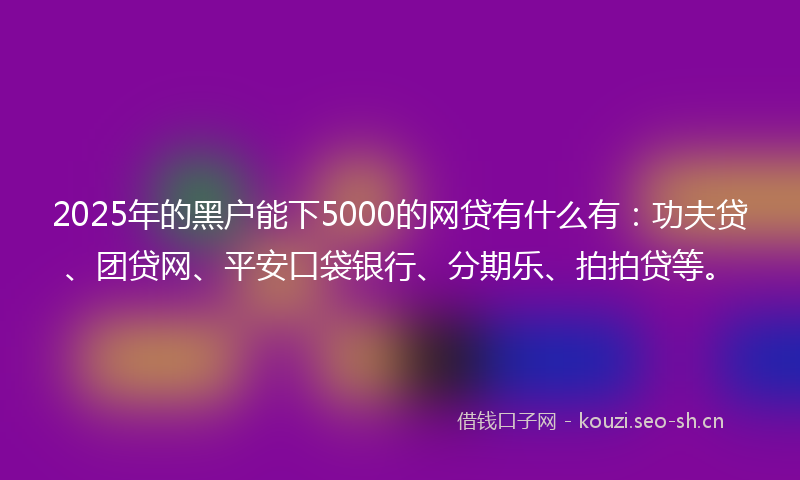 2025年的黑户能下5000的网贷有什么有：功夫贷、团贷网、平安口袋银行、分期乐、拍拍贷等。