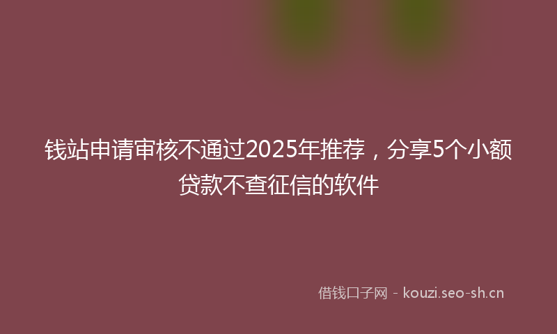 钱站申请审核不通过2025年推荐,分享5个小额贷款不查征信的软件