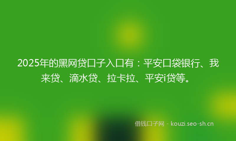 2025年的黑网贷口子入口有：平安口袋银行、我来贷、滴水贷、拉卡拉、平安i贷等。