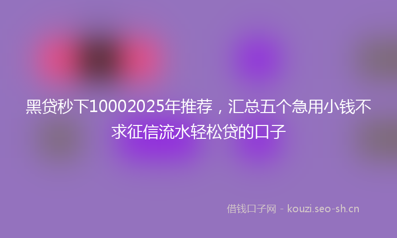 黑贷秒下10002025年推荐，汇总五个急用小钱不求征信流水轻松贷的口子