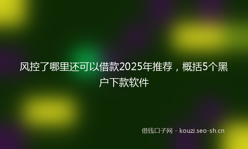 风控了哪里还可以借款2025年推荐，概括5个黑户下款软件