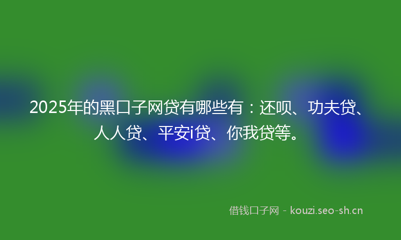 2025年的黑口子网贷有哪些有：还呗、功夫贷、人人贷、平安i贷、你我贷等。