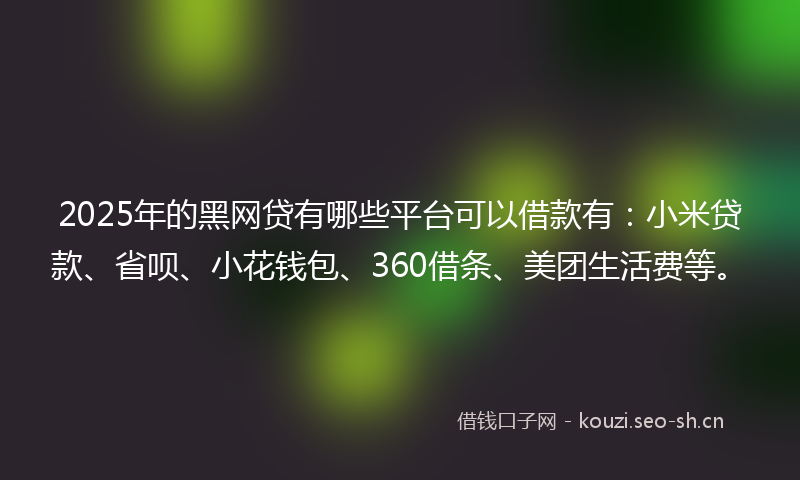 2025年的黑网贷有哪些平台可以借款有：小米贷款、省呗、小花钱包、360借条、美团生活费等。