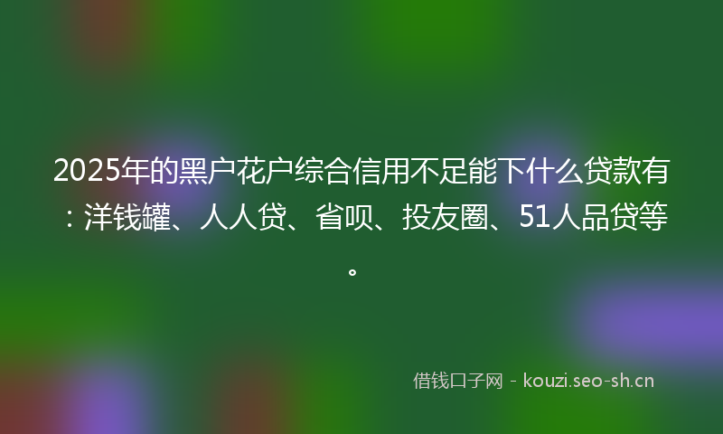 2025年的黑户花户综合信用不足能下什么贷款有：洋钱罐、人人贷、省呗、投友圈、51人品贷等。