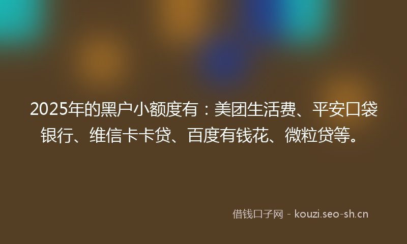 2025年的黑户小额度有：美团生活费、平安口袋银行、维信卡卡贷、百度有钱花、微粒贷等。