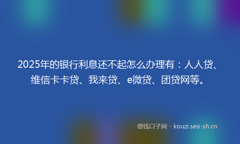 2025年的银行利息还不起怎么办理有：人人贷、维信卡卡贷、我来贷、e微贷、团贷网等。