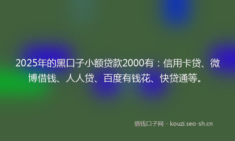 2025年的黑口子小额贷款2000有：信用卡贷、微博借钱、人人贷、百度有钱花、快贷通等。