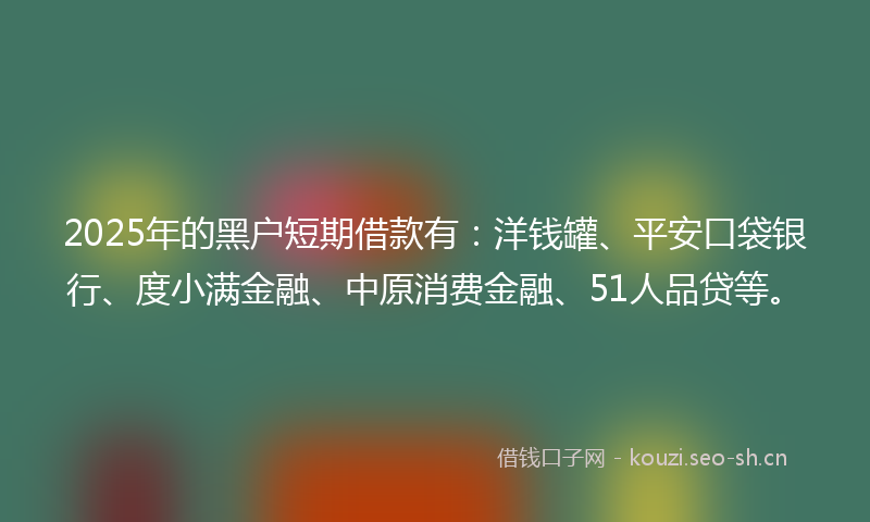 2025年的黑户短期借款有：洋钱罐、平安口袋银行、度小满金融、中原消费金融、51人品贷等。
