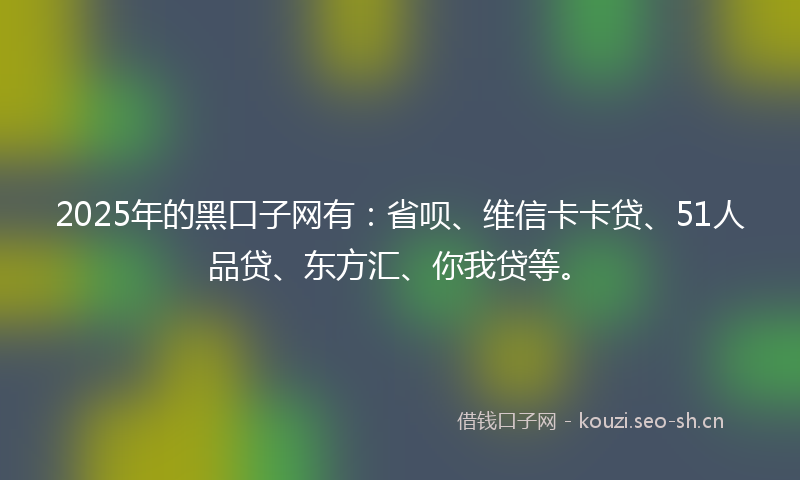 2025年的黑口子网有:省呗、维信卡卡贷、51人品贷、东方汇、你我贷等。