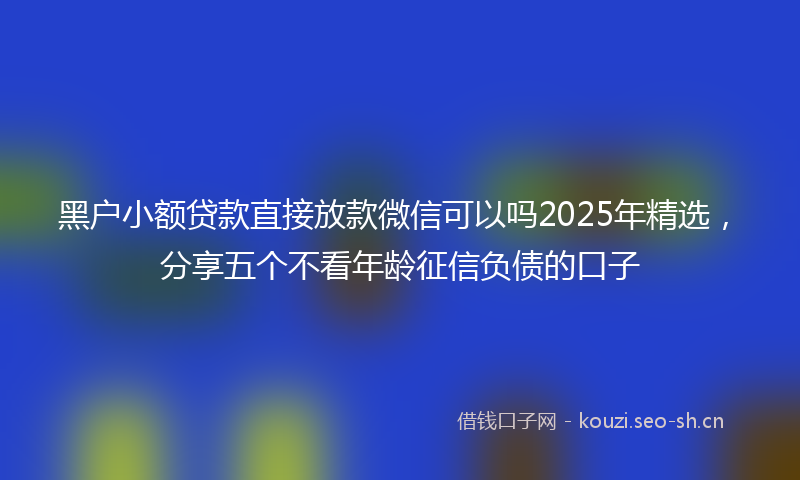 黑户小额贷款直接放款微信可以吗2025年精选，分享五个不看年龄征信负债的口子